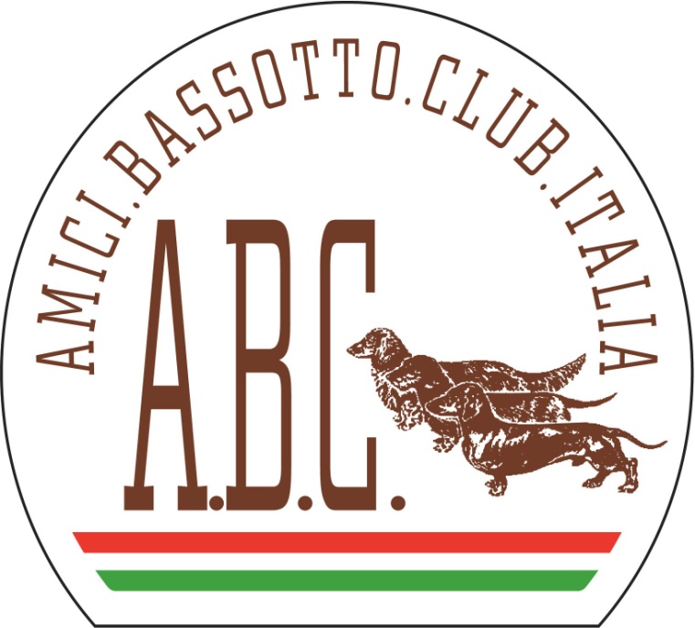 logo abc 2022