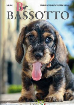 Bcomebassotto - 2 - 2019