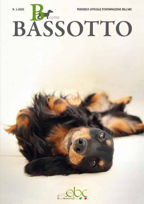 bcomebassotto 1/2020