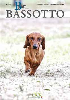 bcomebassotto 1/2021